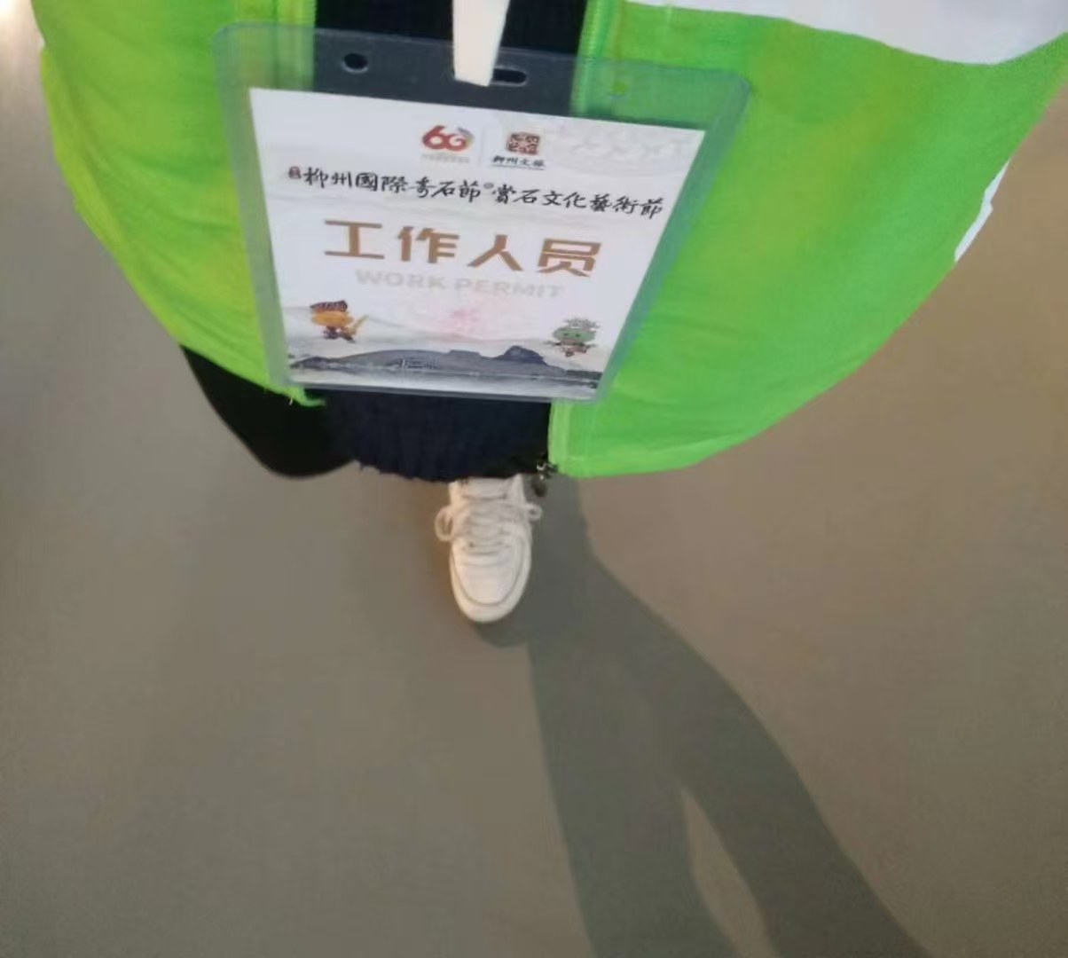 2018 柳州国际奇石节